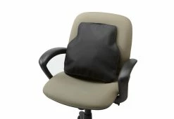 Best Sale ๐ Inflatable Lower Back Rest by Bodyryzm โจ