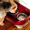 Deals 🤩 Mess Proof Pet Feeder by Neater Pet ✨
