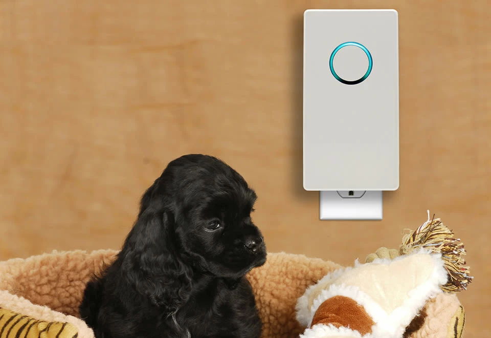 Best reviews of 🎉 UV-C Plug-In Air Sanitizer by Guardian Technologies, LLC ✨ - Image 5