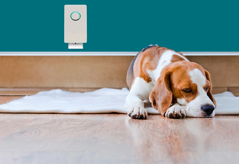 Best reviews of 🎉 UV-C Plug-In Air Sanitizer by Guardian Technologies, LLC ✨ - Image 8