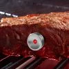 Outlet 😀 Intelligent Steak Thermometer by TecPoint USA ⭐