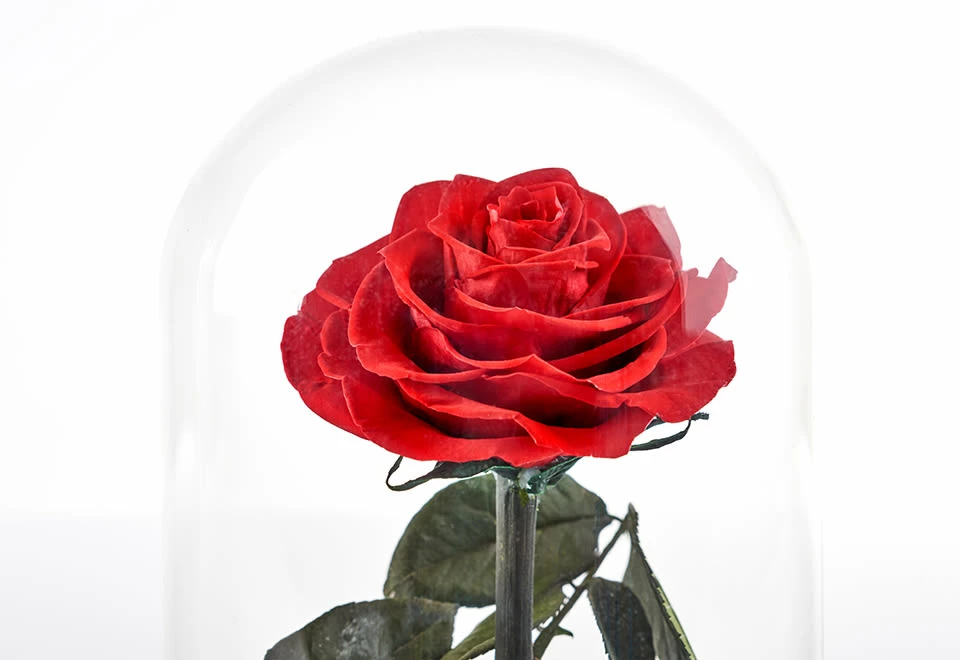 Cheap 😍 Timeless Rose by Sharper Image ✔️ - Image 2