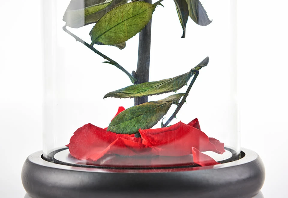 Cheap 😍 Timeless Rose by Sharper Image ✔️ - Image 4