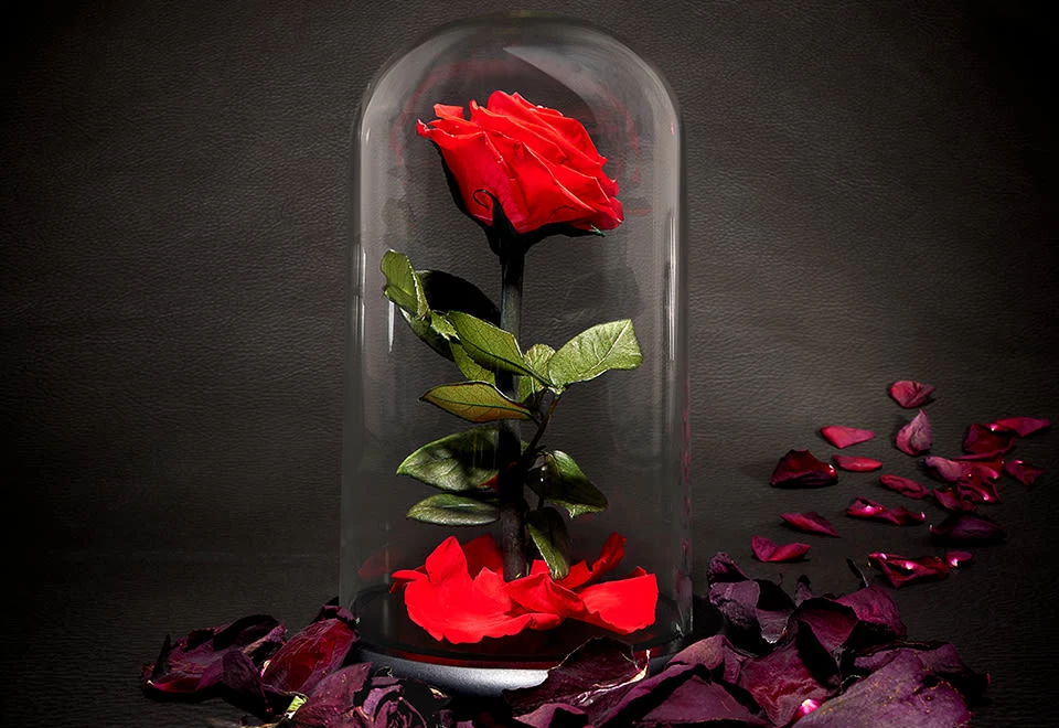 Cheap 😍 Timeless Rose by Sharper Image ✔️ - Image 8