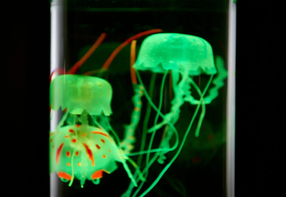 Coupon ๐ Jellyfish Aquarium by Sharper Image โ๏ธ - Image 6