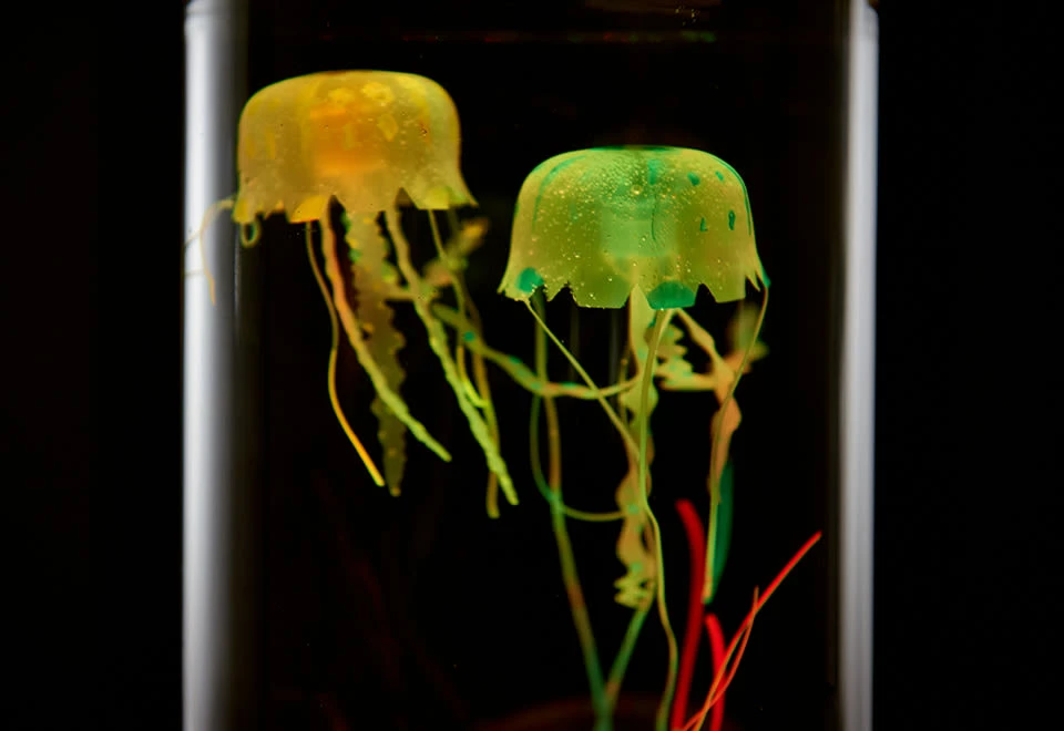 Coupon ๐ Jellyfish Aquarium by Sharper Image โ๏ธ - Image 8