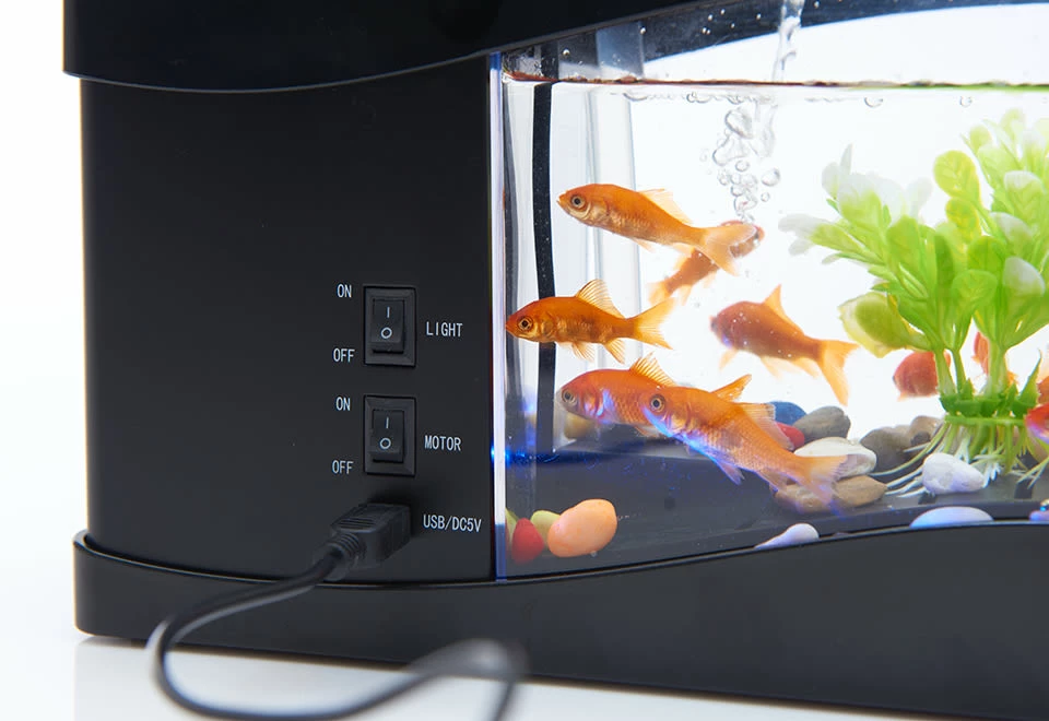 Top 10 ๐ Desktop Aquarium by MI - GHD Manufacture Co., Ltd. ๐ - Image 4