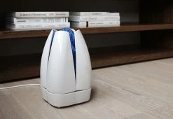 Best deal 🥰 Airfree Lotus Filterless Silent Air Purifier by Airfree USA LLC 👍