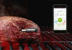 Brand new 💯 Wireless Meat Thermometer by Mastrad, Inc. 🤩
