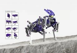 Budget ๐ Terrain Walker Kit by Thames & Kosmos, LLC โญ