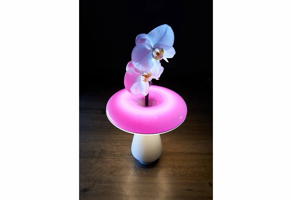 Promo ๐ฏ LED Ceramic Flower Vase by Heron Elite Inc โค๏ธ - Image 2