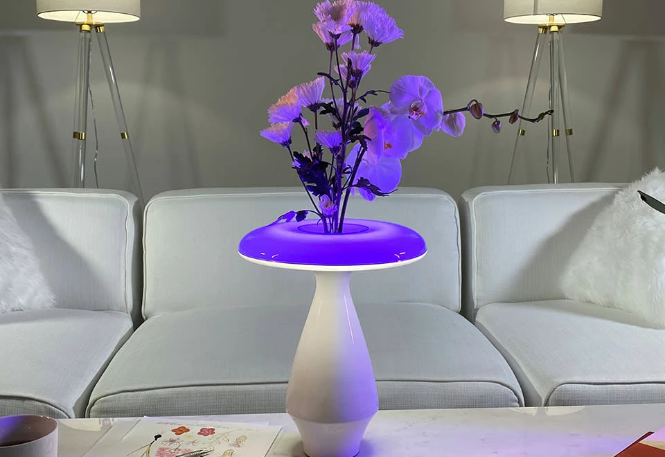 Promo ๐ฏ LED Ceramic Flower Vase by Heron Elite Inc โค๏ธ - Image 4