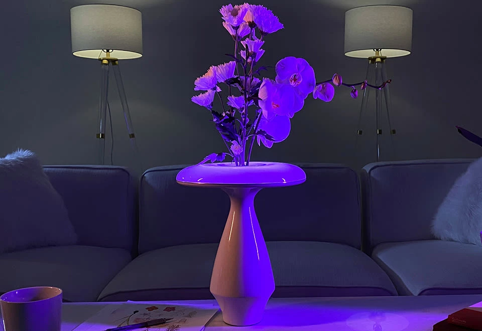 Promo ๐ฏ LED Ceramic Flower Vase by Heron Elite Inc โค๏ธ - Image 5