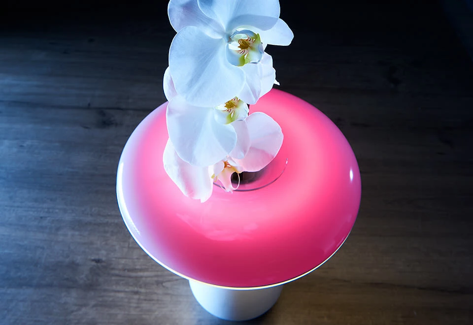 Promo ๐ฏ LED Ceramic Flower Vase by Heron Elite Inc โค๏ธ - Image 6