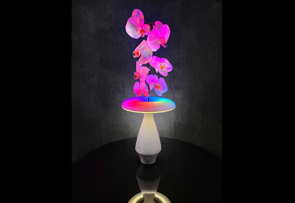 Promo ๐ฏ LED Ceramic Flower Vase by Heron Elite Inc โค๏ธ - Image 7