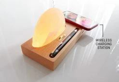 Wholesale 🥰 Himalayan Salt Wireless Charger by Action Products Worldwide 👍