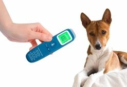 Hot Sale ✨ No-Contact 🐕 Dog Thermometer by PetMedics LLC ⭐