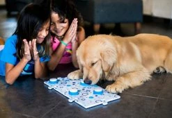 Cheap 🤩 Recordable Pet Training Buttons by PawkieTalkie 😀