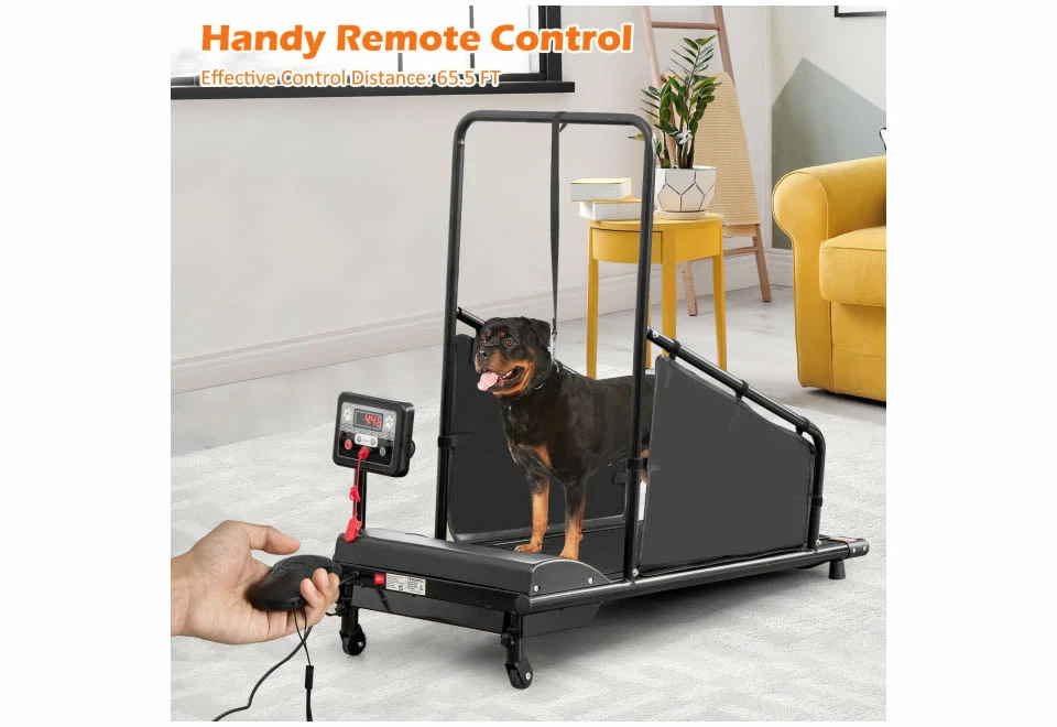 Discount ๐ Pet Treadmill by GoPlus (Costway) ๐ - Image 2