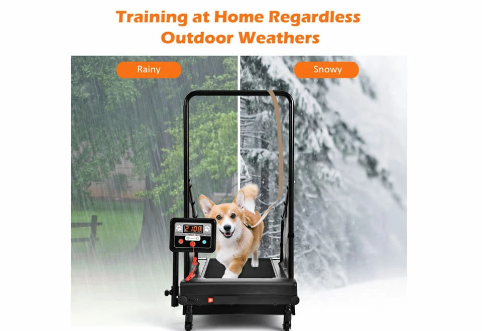 Discount ๐ Pet Treadmill by GoPlus (Costway) ๐ - Image 5