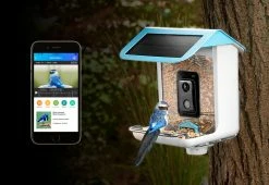 Coupon 💯 Video Camera Bird Feeder by Sharper Image 👍